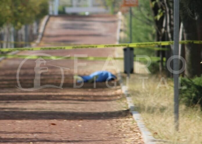 WhatsApp Image 2022-01-21 at 1.10.43 PM