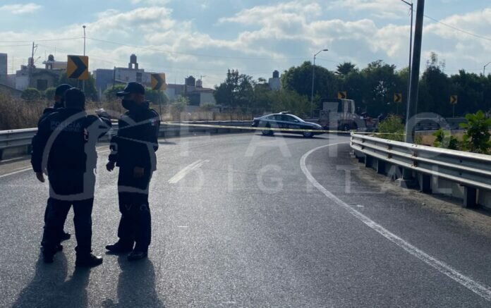 WhatsApp Image 2022-01-31 at 11.15.43 AM