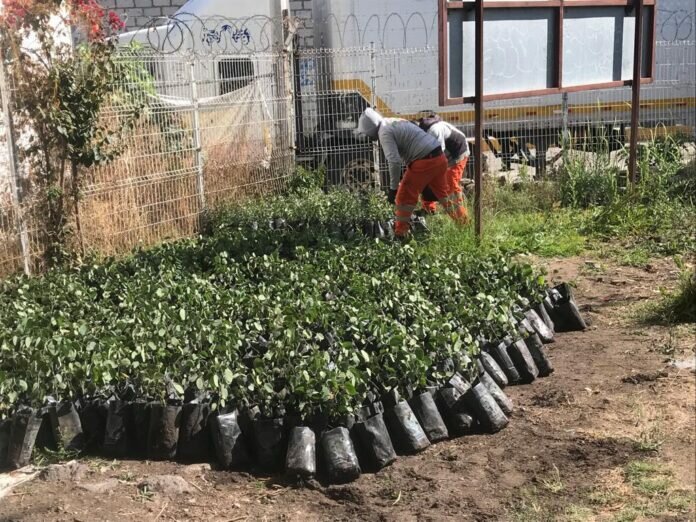 WhatsApp Image 2022-02-16 at 3.34.41 PM (1)