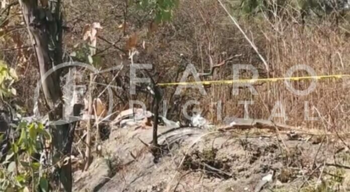 WhatsApp Image 2022-02-25 at 1.34.36 PM