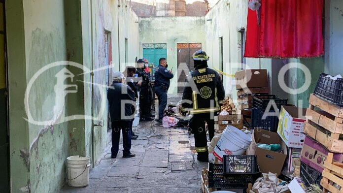 InShot_20220328_085753727