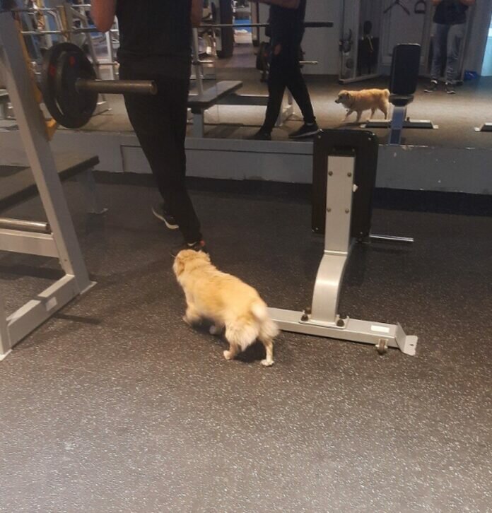 4TX7DTCUVVEZNO2WLQ6UQ4MZ7Q