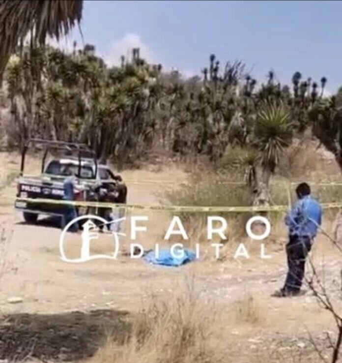 Screenshot_20220424_185618