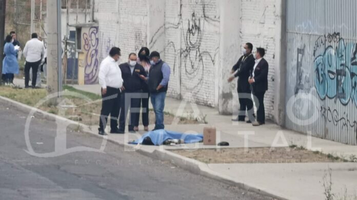 WhatsApp Image 2022-04-20 at 11.17.27 AM