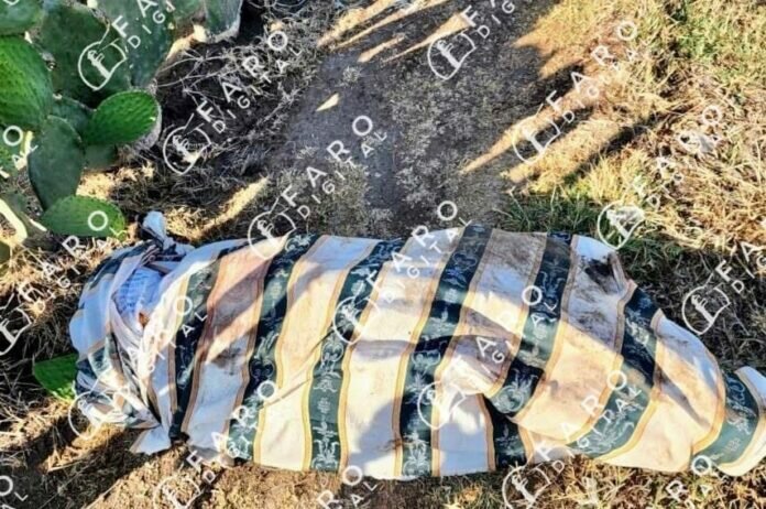 WhatsApp Image 2022-04-22 at 1.20.13 PM