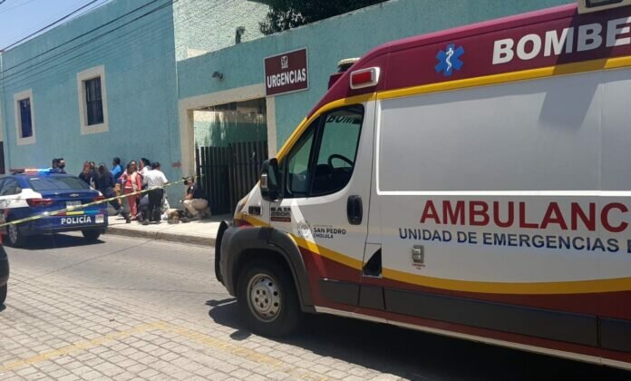 WhatsApp Image 2022-04-25 at 3.55.21 PM(1)