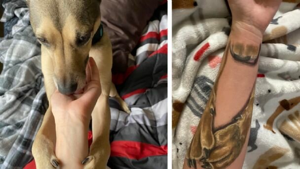 f608x342-507610_537333_0