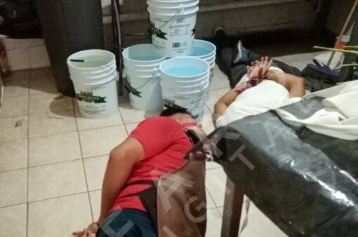 f3e6e795-193c-41b6-add6-0d76cadf0cf7