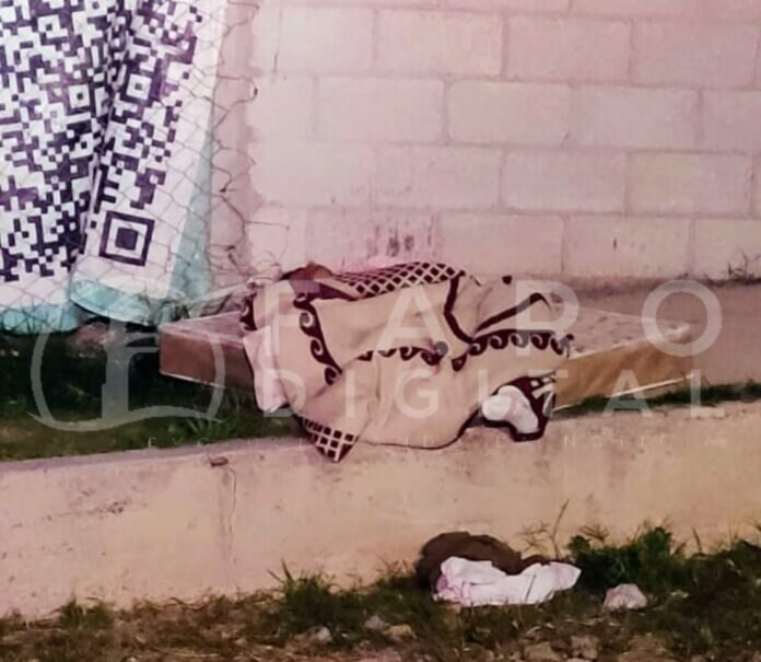 WhatsApp Image 2022-06-24 at 9.27.10 AM