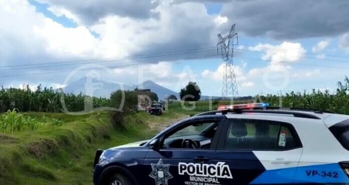 17a89fbc-4c0e-4b80-80f0-71b9e1b4a0ea