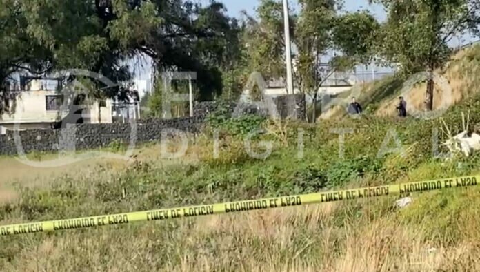 InShot_20220713_103704981