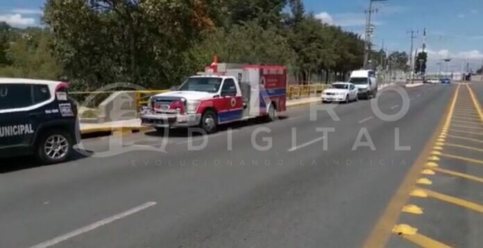 WhatsApp Image 2022-07-10 at 2.03.21 PM