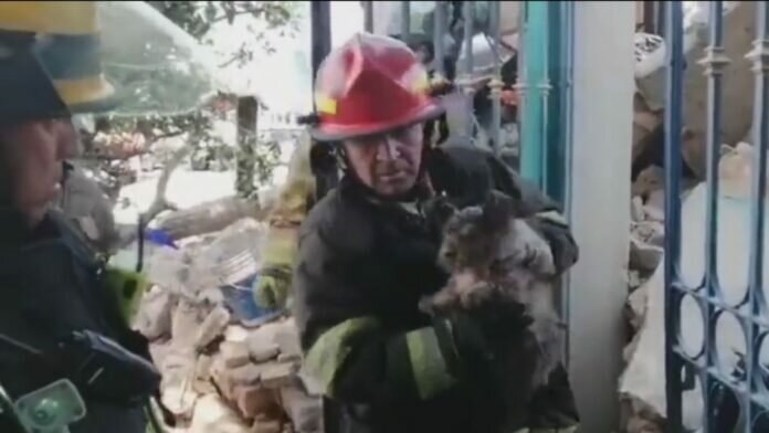 f960x540-546798_620873_0