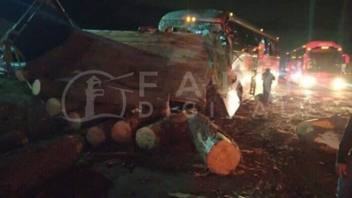 WhatsApp Image 2022-08-07 at 11.56.12 AM (1)