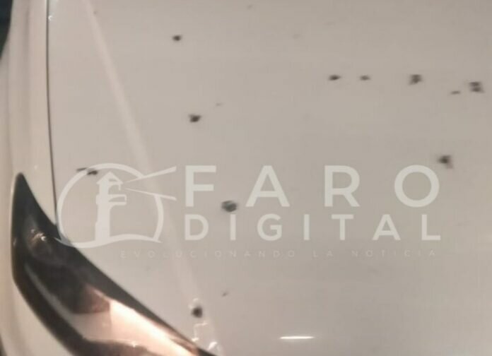 e9ae8572-4d48-4ce1-9b44-92f2eccee48e