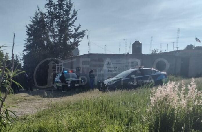 23f4265a-e722-4e81-948d-44fe8fb78d71