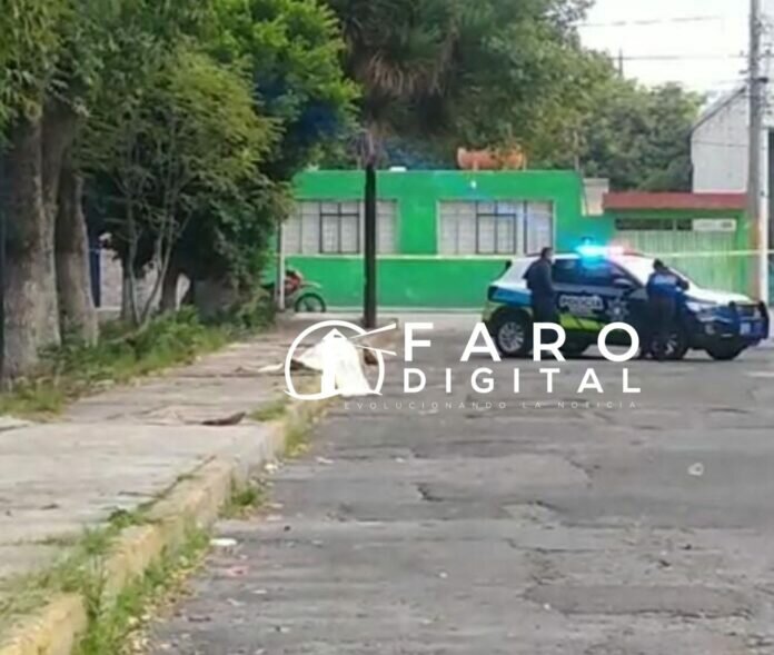 2d9d0e39-4298-4f8d-bf4e-e8f5c2ffb585 (1)