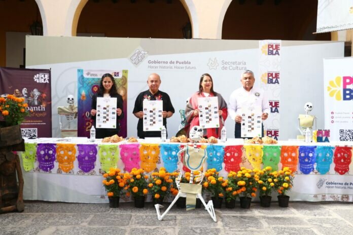 439f1561-aba3-4ddb-9c50-5a0bc26a8c3b