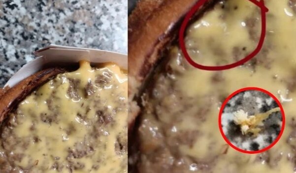 Screenshot_20221022_144740_edit_21222715845808