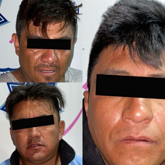 1c72339a-e04c-4e47-9717-212e34e76f69