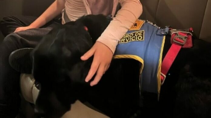 Screenshot_20221108_203826