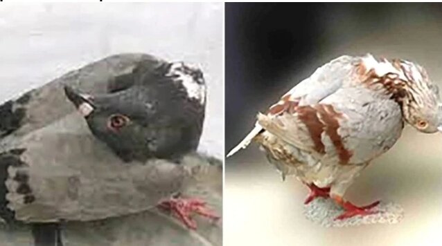 Screenshot_20221113_010044