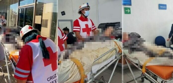 WhatsApp-Image-2022-11-11-at-7.30.47-PM-e1668216700926-696x333