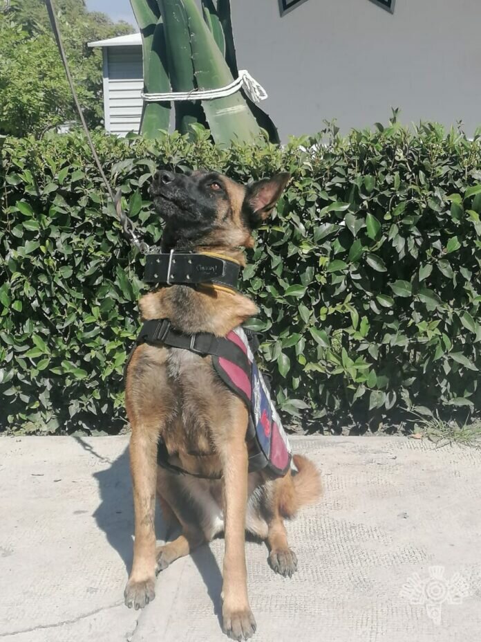 f443dbb3-1df1-48f3-8aa4-6f001e825242