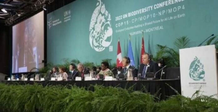 Screenshot_20221219_235910